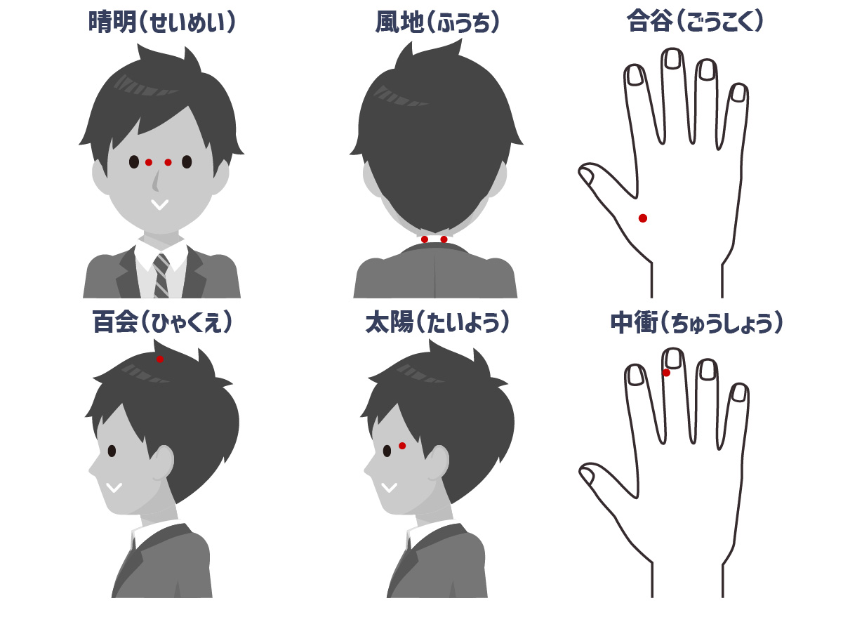 活動歴および当時の関連ビジュアル記録